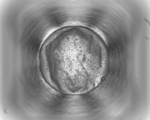 X0000093171382200710241031