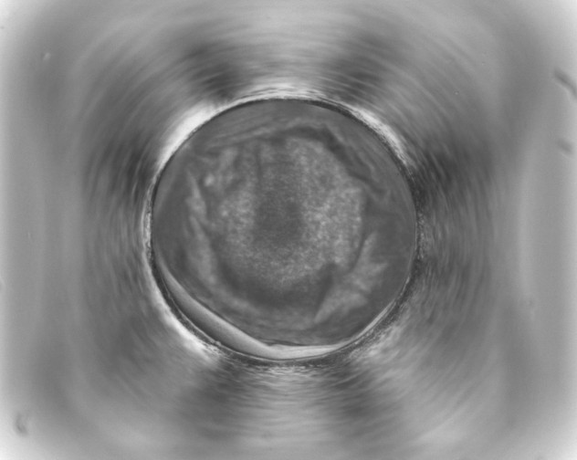 X0000093171383200710241031