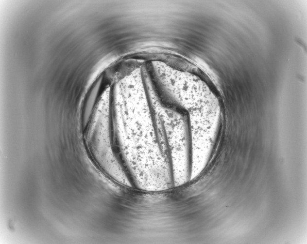 X0000093171384200710241031