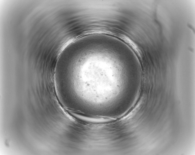 X0000093171385200710241031