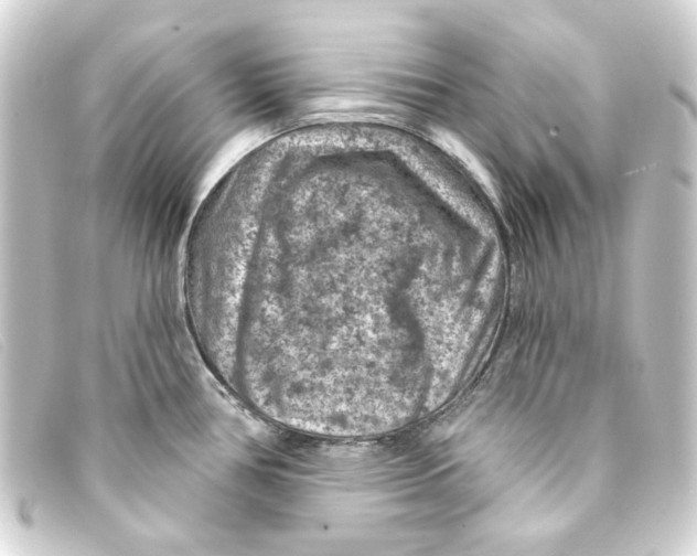 X0000093171386200710241031