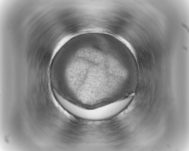 X0000093171389200710241031