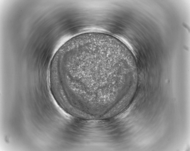 X0000093171391200710241031