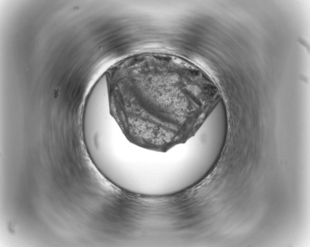 X0000093171392200710241031