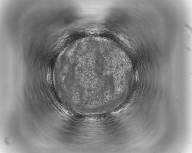 X0000093171396200710241030