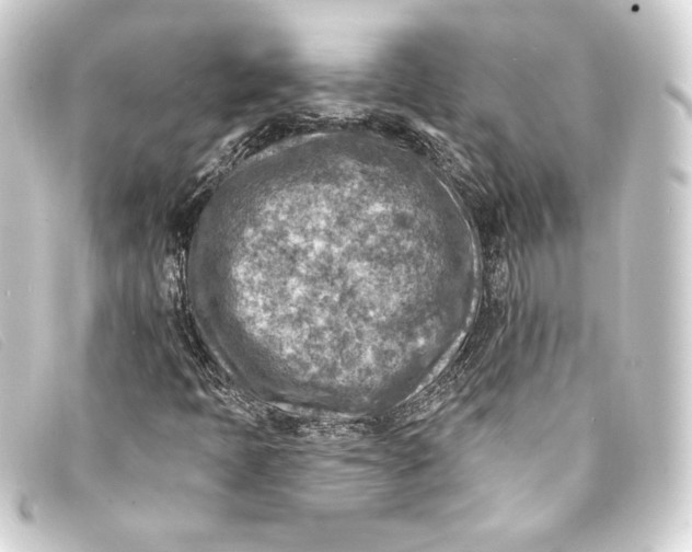 X0000093171397200710241030