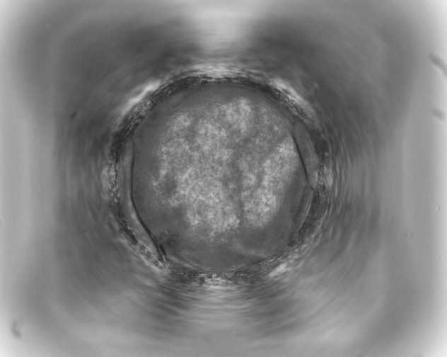 X0000093171398200710241030