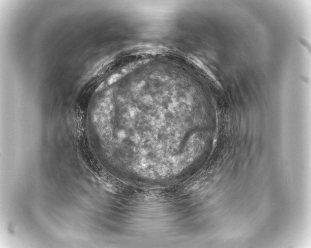 X0000093171399200710241030