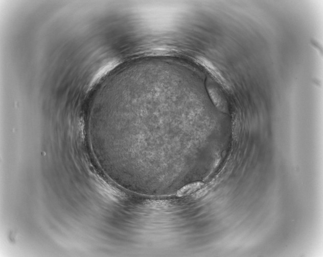 X0000093171402200710241030