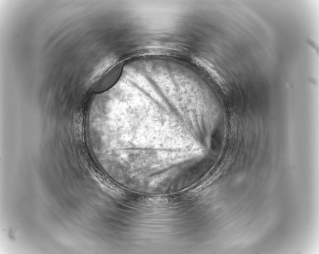 X0000093171403200710241030