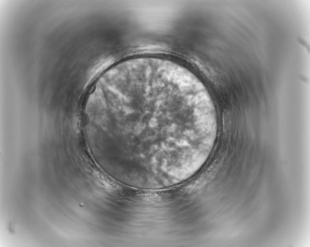 X0000093171405200710241030