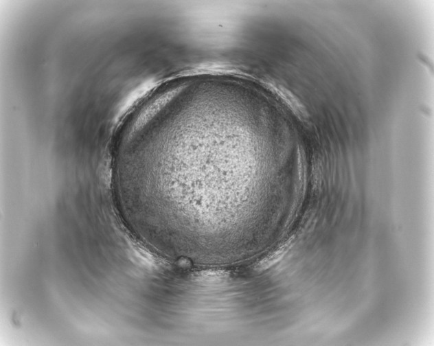 X0000093171406200710241030