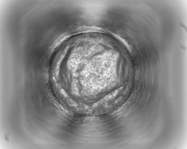 X0000093171407200710241030