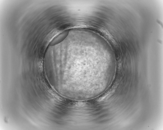 X0000093171409200710241030