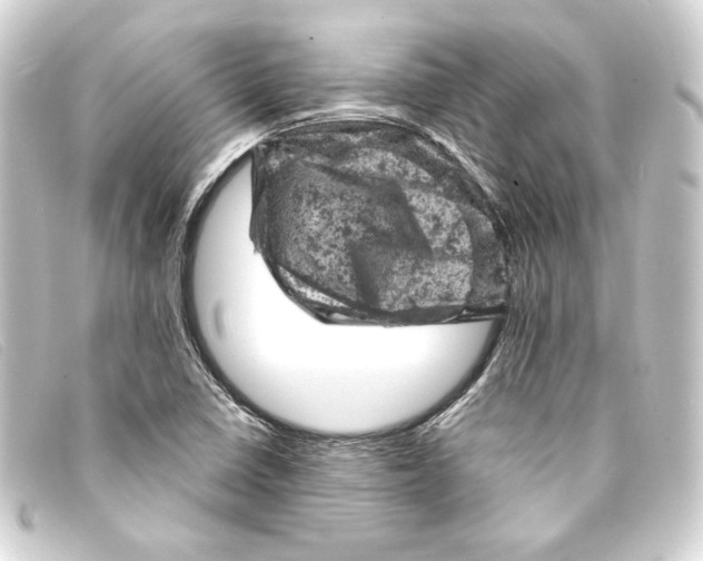 X0000093171410200710241030