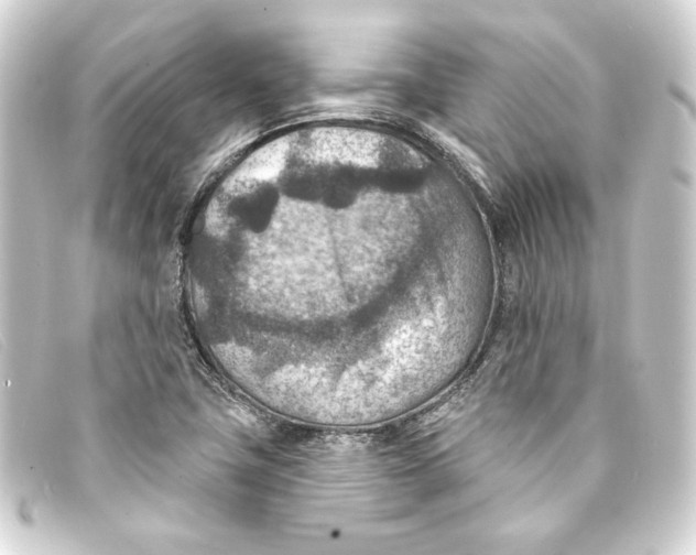 X0000093171411200710241030