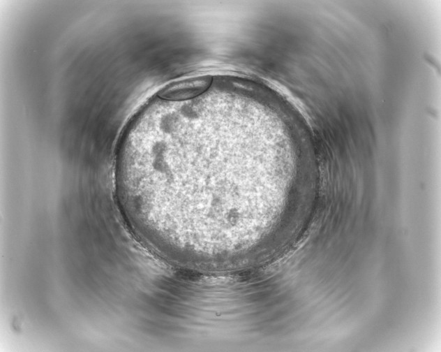 X0000093171415200710241030