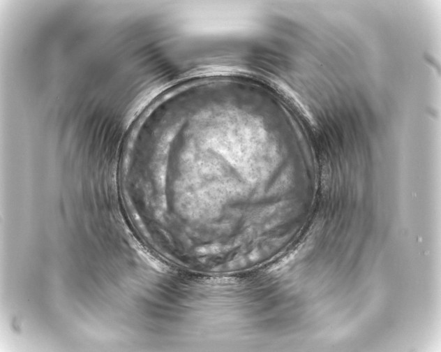 X0000093171417200710241030