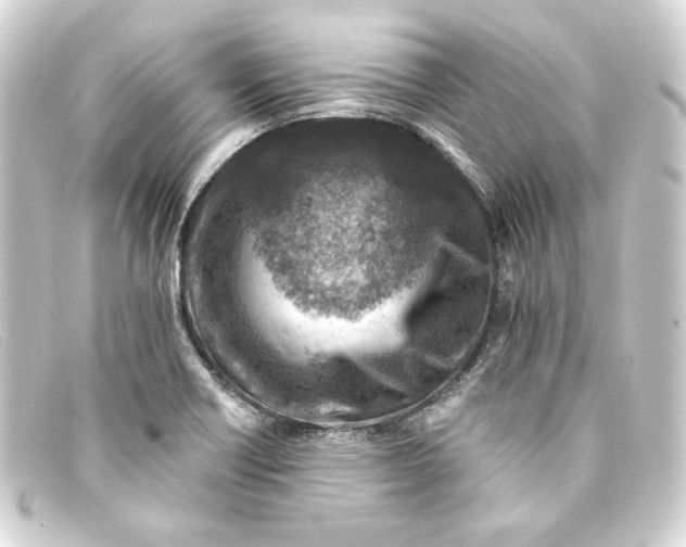 X0000093171418200710241030