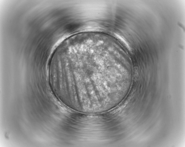 X0000093171419200710241030