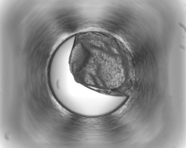 X0000093171422200710241030