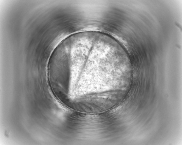 X0000093171423200710241030