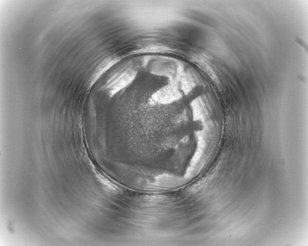 X0000093171425200710241030