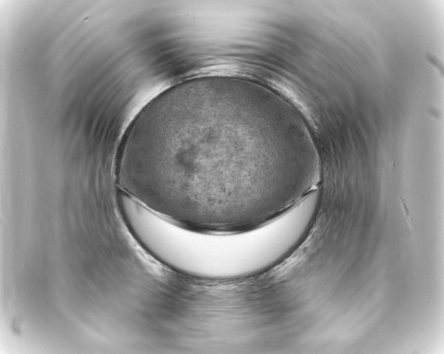 X0000093171426200710241030