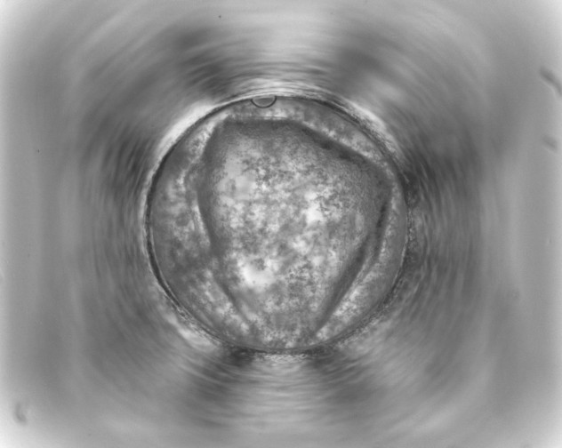 X0000093171427200710241031