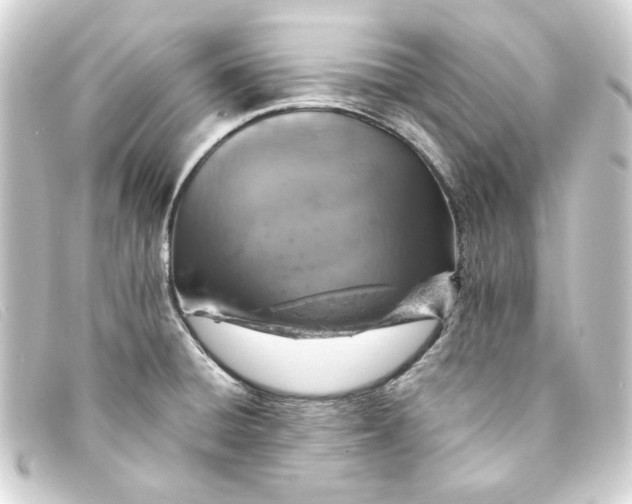 X0000093171428200710241031