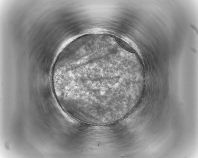 X0000093171429200710241031