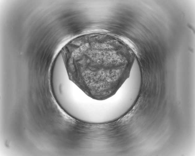 X0000093171430200710241031