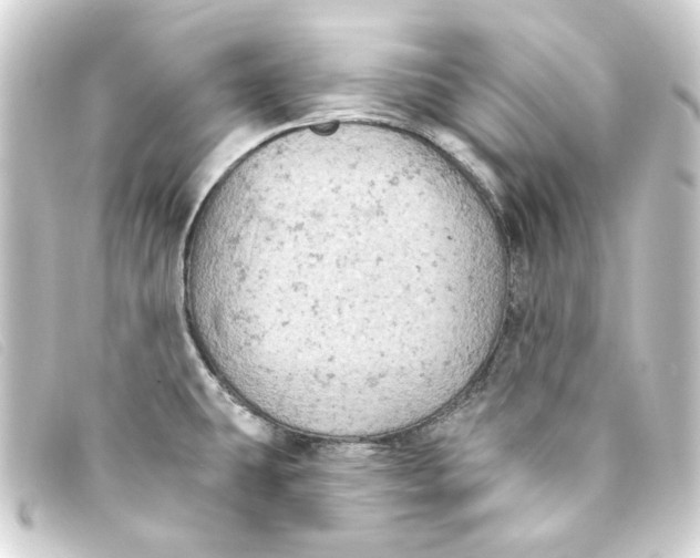 X0000093171431200710241031