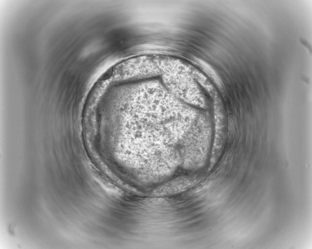 X0000093171435200710241031