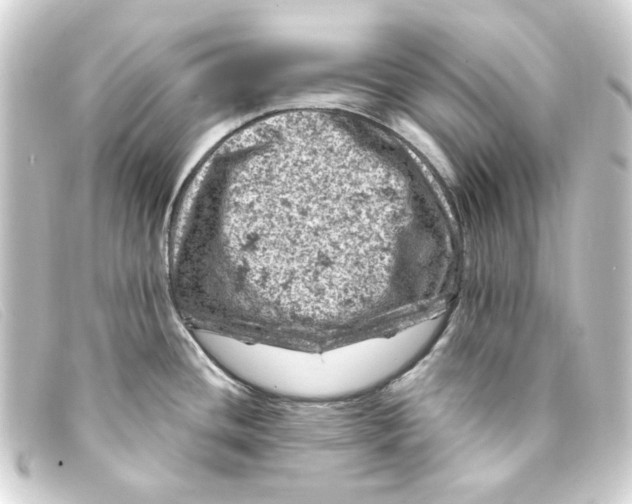 X0000093171436200710241031