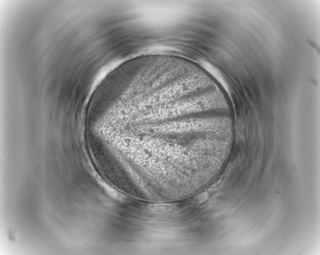 X0000093171437200710241031