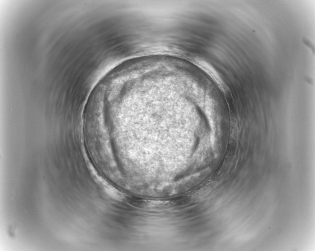 X0000093171439200710241031