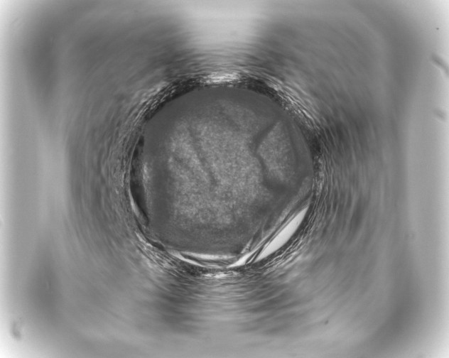 X0000093171441200710241030