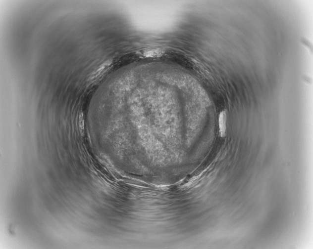 X0000093171443200710241030