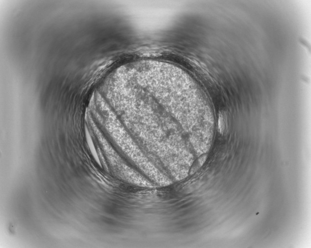 X0000093171444200710241030