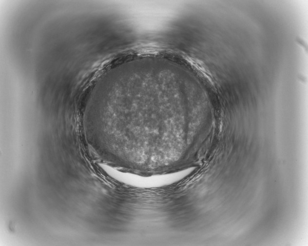 X0000093171445200710241030