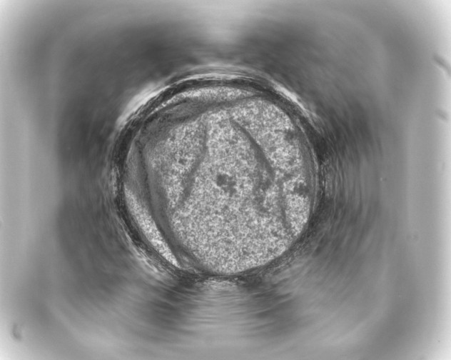 X0000093171448200710241030