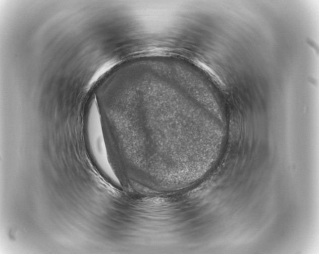 X0000093171450200710241030