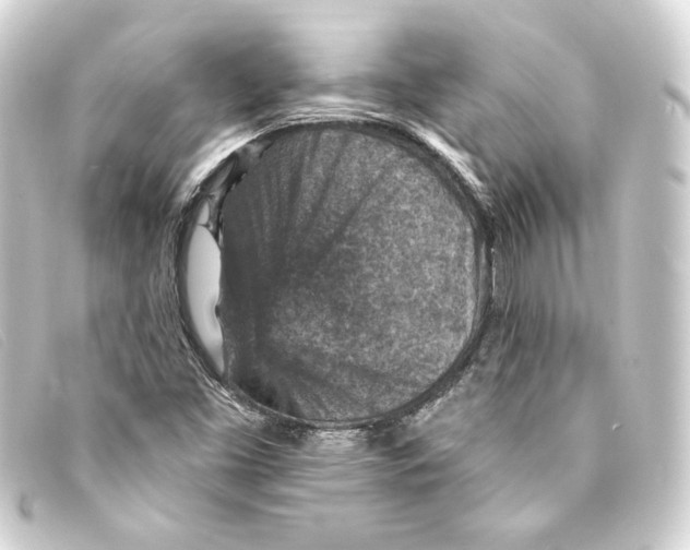 X0000093171453200710241030