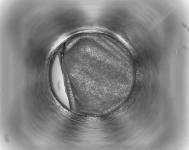 X0000093171456200710241030