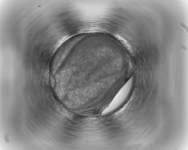 X0000093171457200710241030