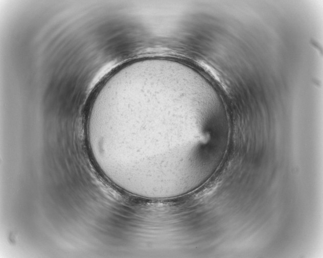 X0000093171458200710241030