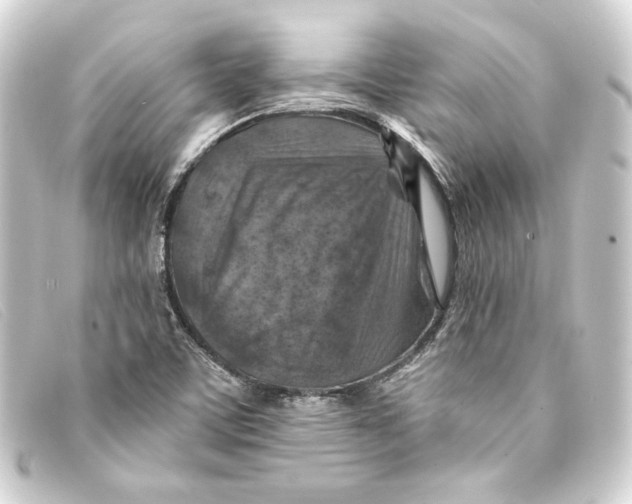 X0000093171459200710241030