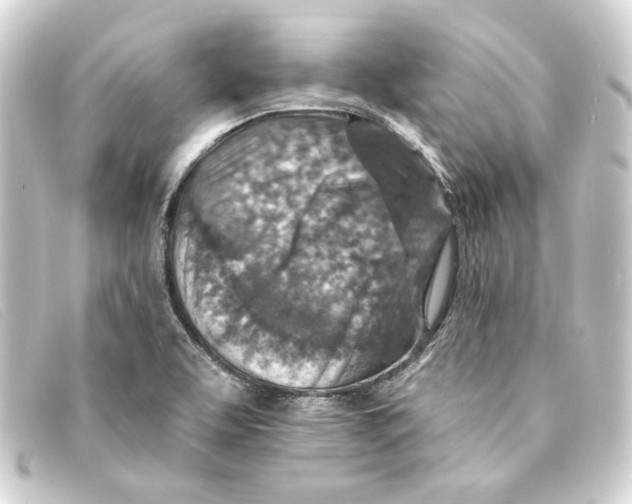 X0000093171463200710241030