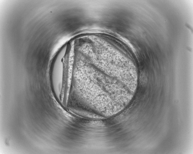 X0000093171464200710241030